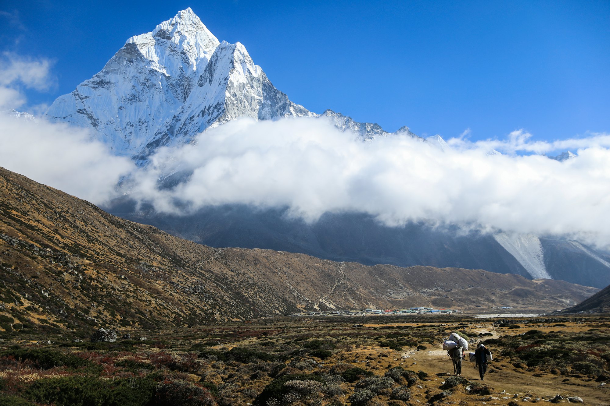 Two trekkers walking a mountain trail