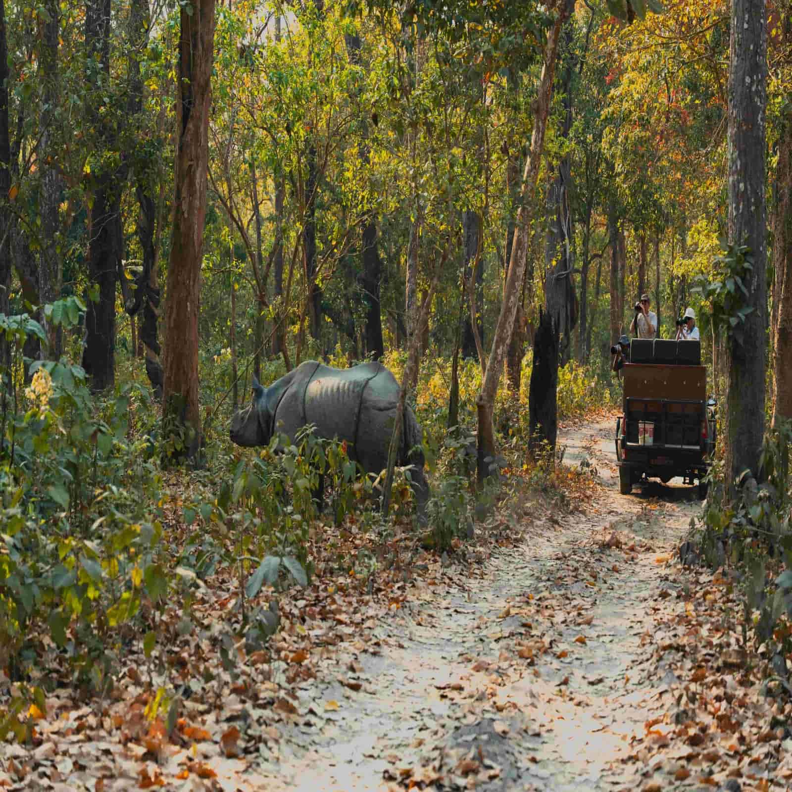 2 Nights 3 Days Chitwan Safari Tour – All Inclusive